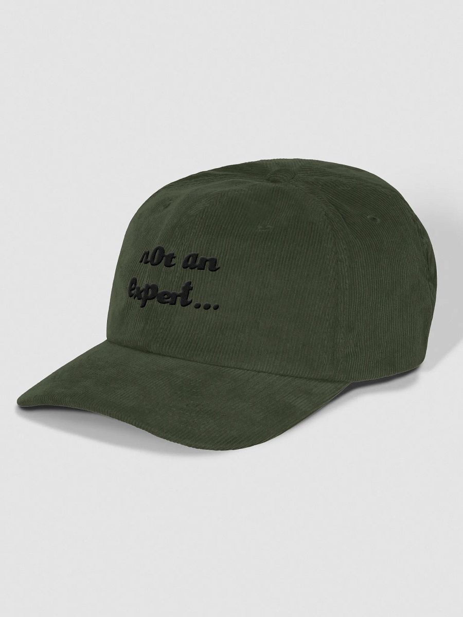 "not an expert..." Camel Corduroy Cap product image (11)