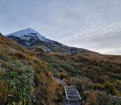 We've had SUCH a beautiful time sharing our manta mahi in the wonderous Taranaki Region! Totally blown away by the public res...
