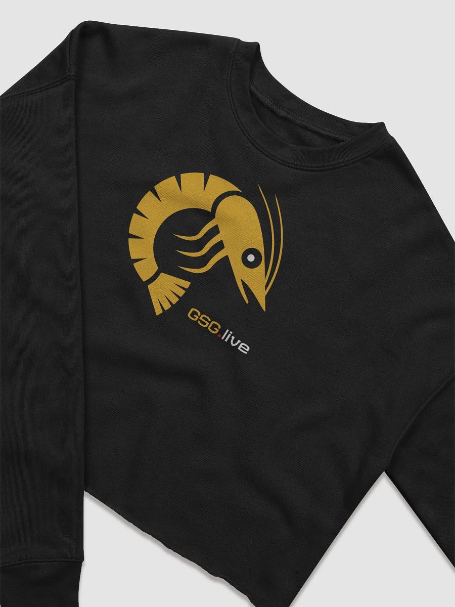 GSG Fleece Crop Swearshirt product image (9)