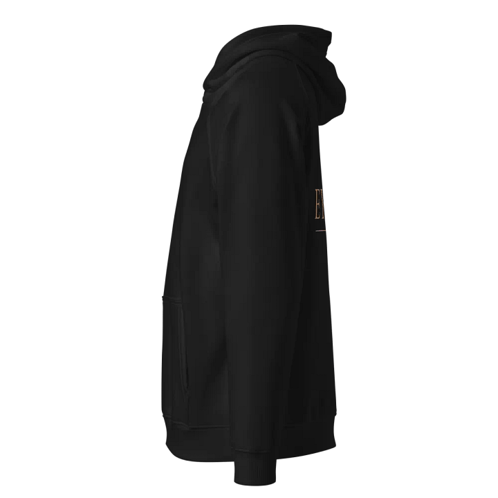 EYPEREES Classic Metallic Hoodie product image (2)