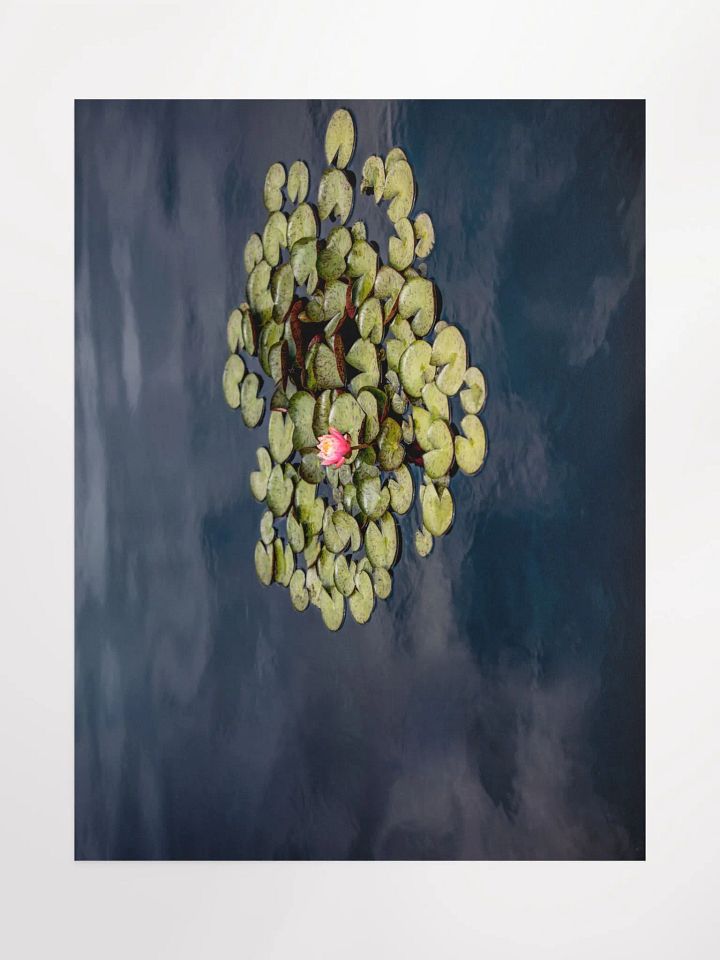 Print - Lily Pads product image (1)