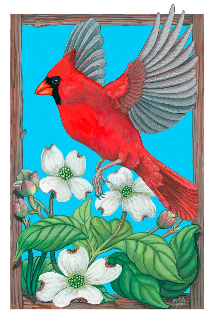 Cardinal + Dogwood - Art Print product image (1)