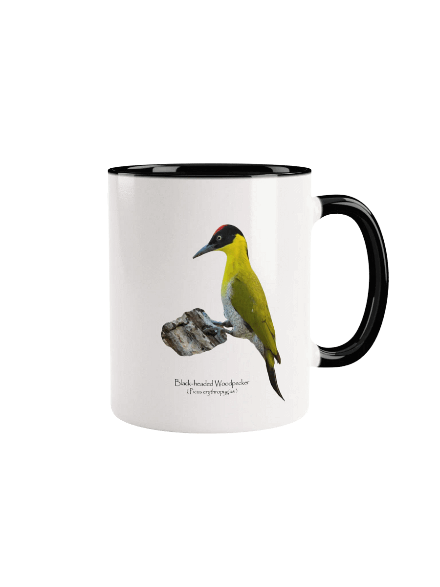 Black-headed Woodpecker mug product image (9)