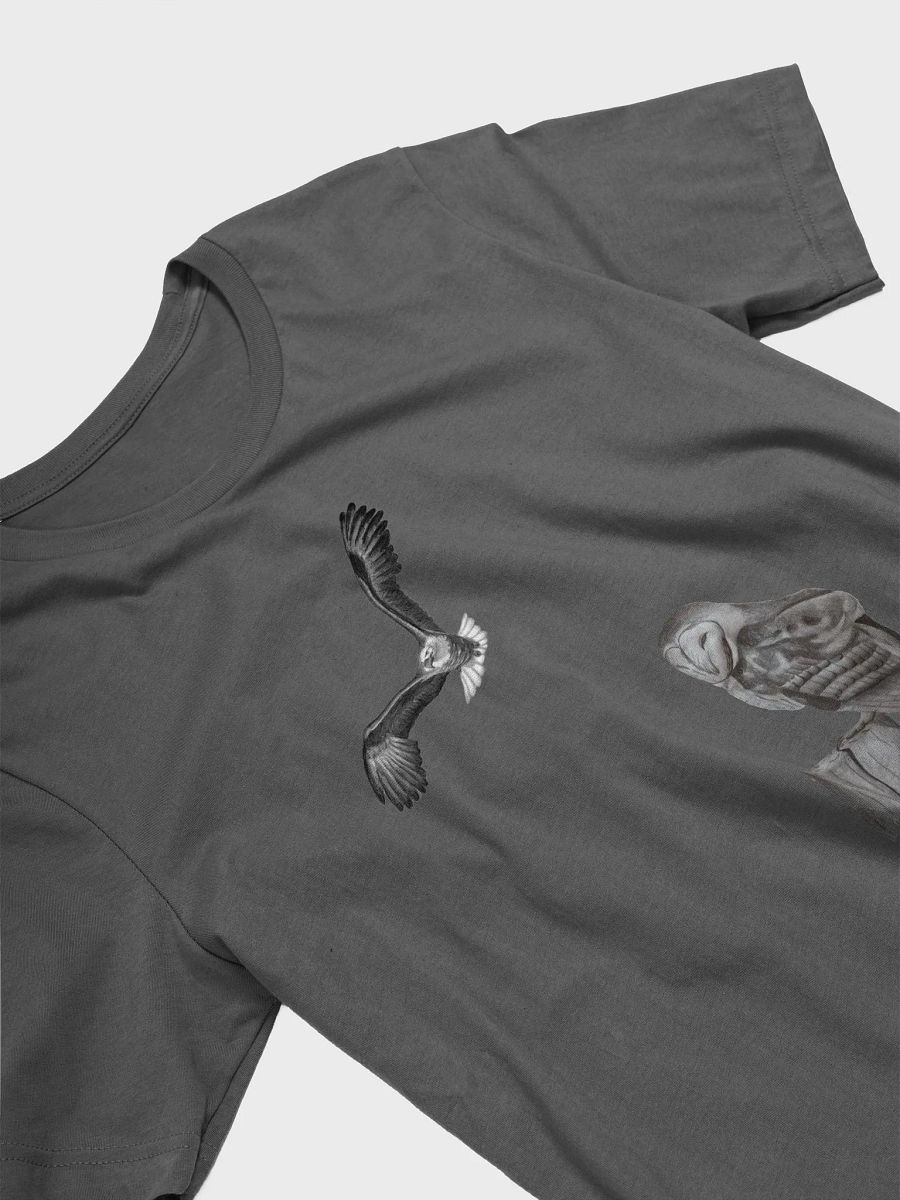 Birds of prey t-shirt product image (29)