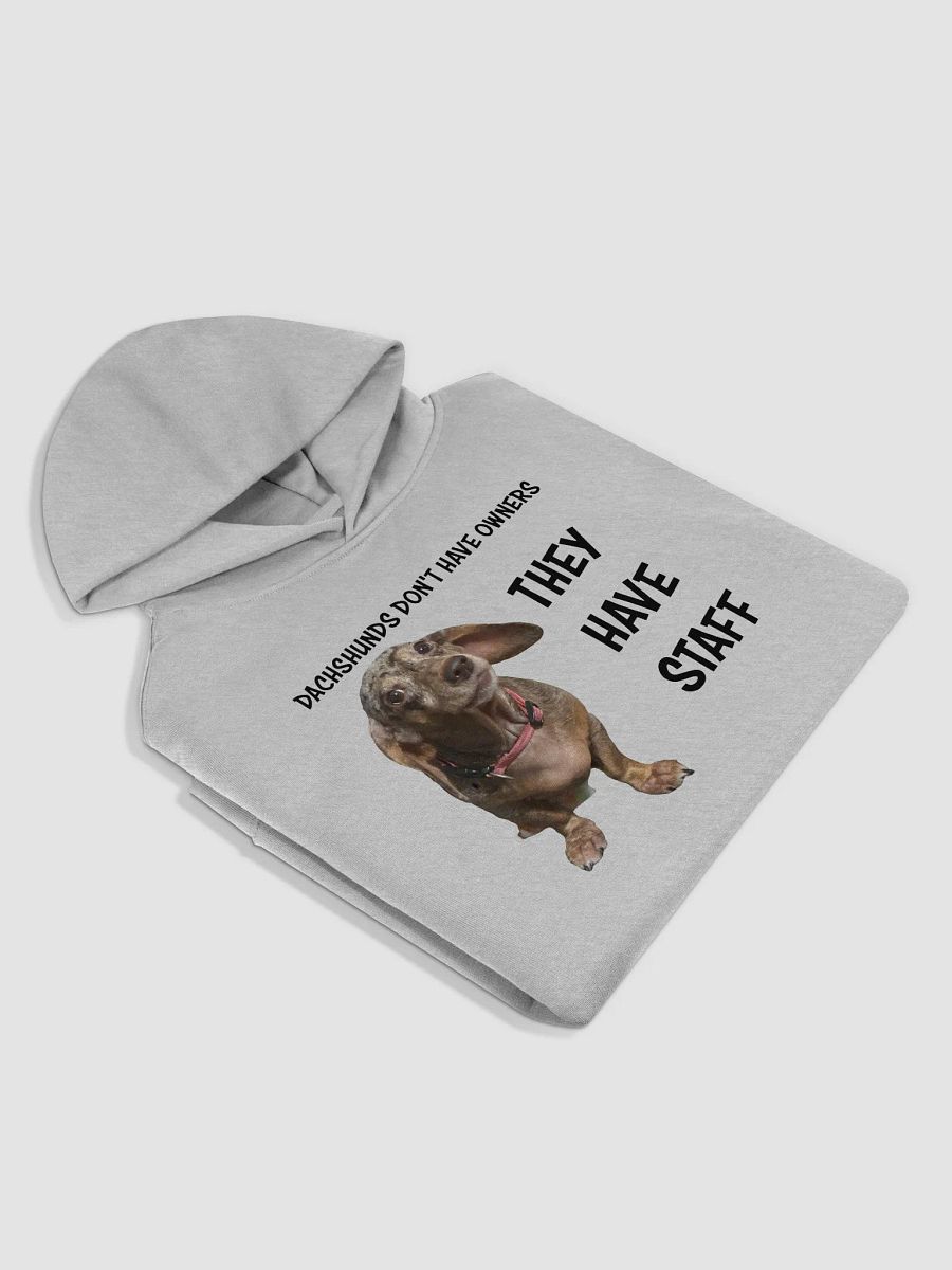 Dachshunds Have Staff product image (4)