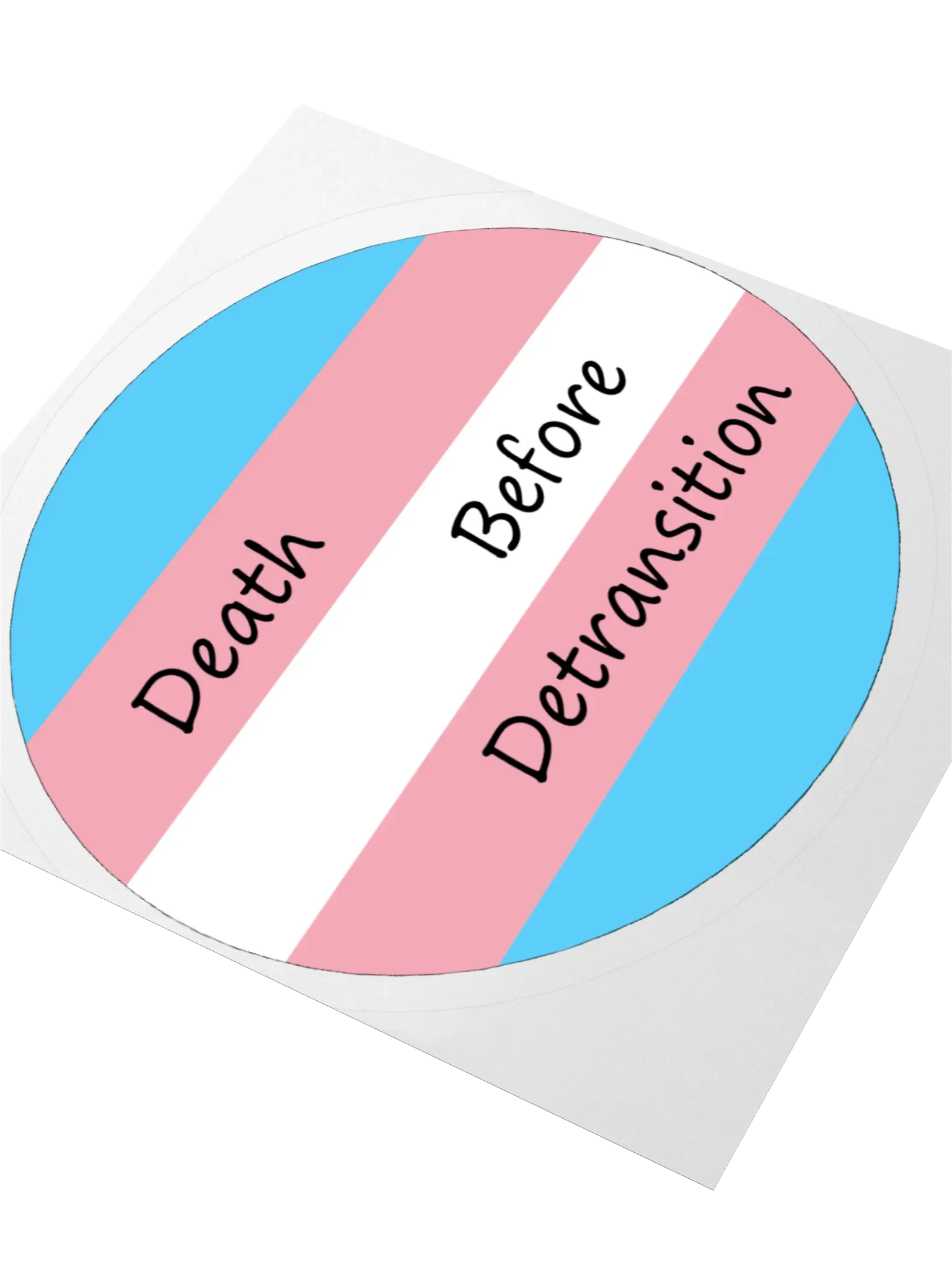 Death Before Detransition Sticker product image (8)