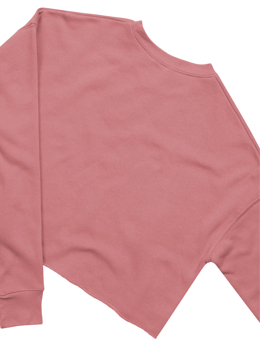 capital couture crop sweatshirt product image (41)