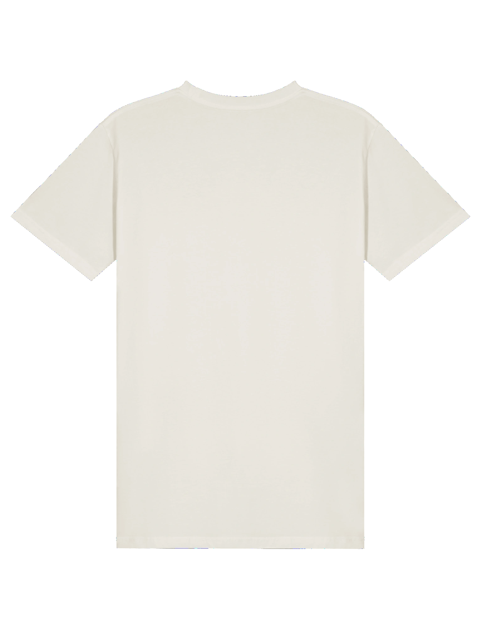 Sane When You Came Tee product image (8)