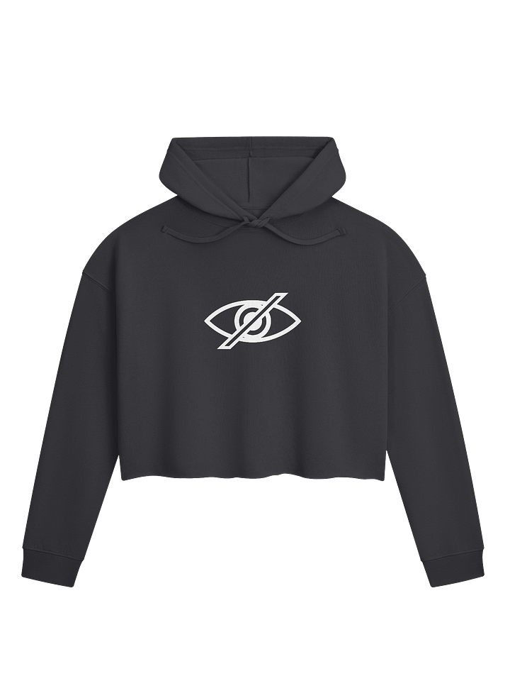 No Surveillance - Cropped Hoodie product image (1)