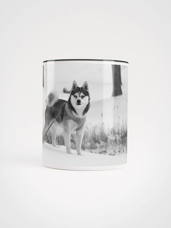 Cute Klee Kai Puppy - Black & White product image (1)
