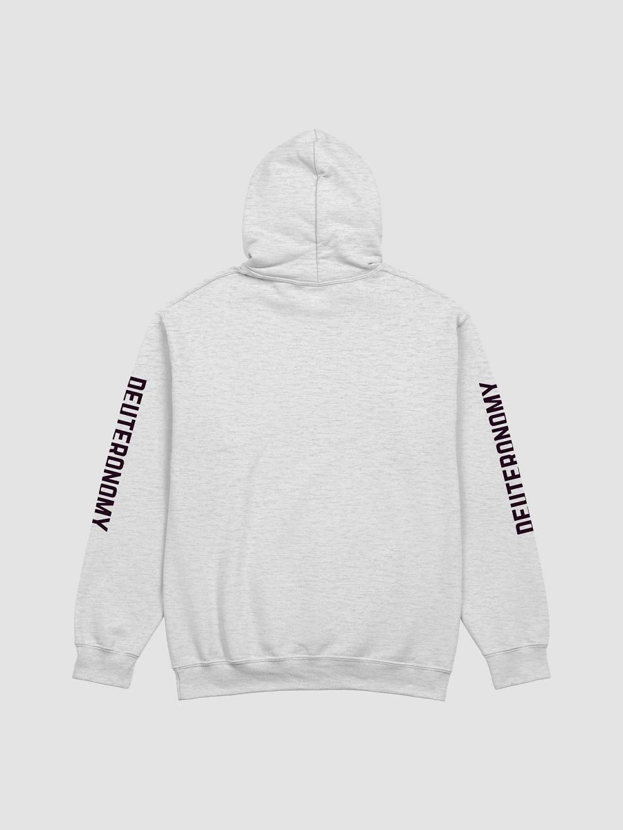 Scripture Couture: Deuteronomy Hoodie (Light Pallet Series) product image (4)