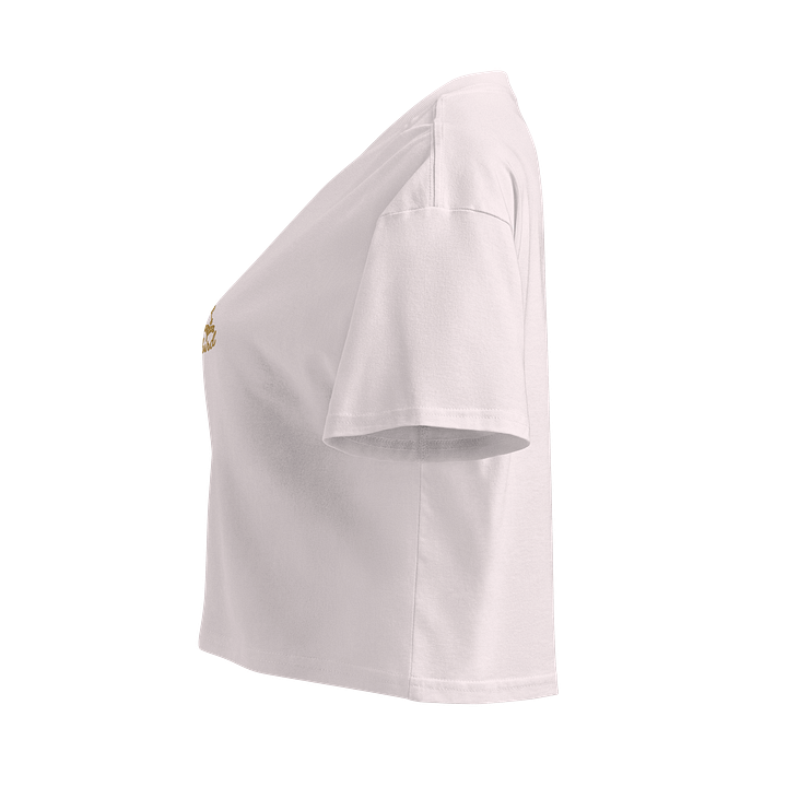 Freedombird Cropped Tee product image (5)