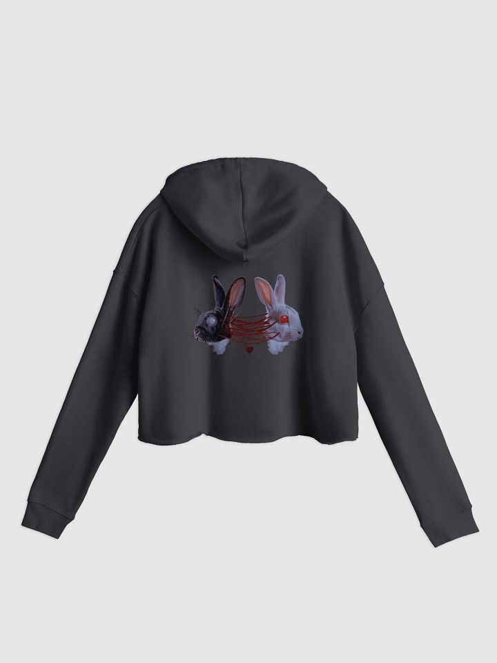 Bound Cropped Hoodie product image (1)