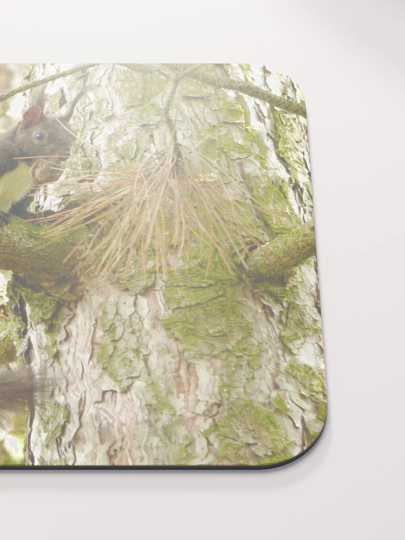 Classic Mouse Pad - The Eurasian red squirrel product image (5)