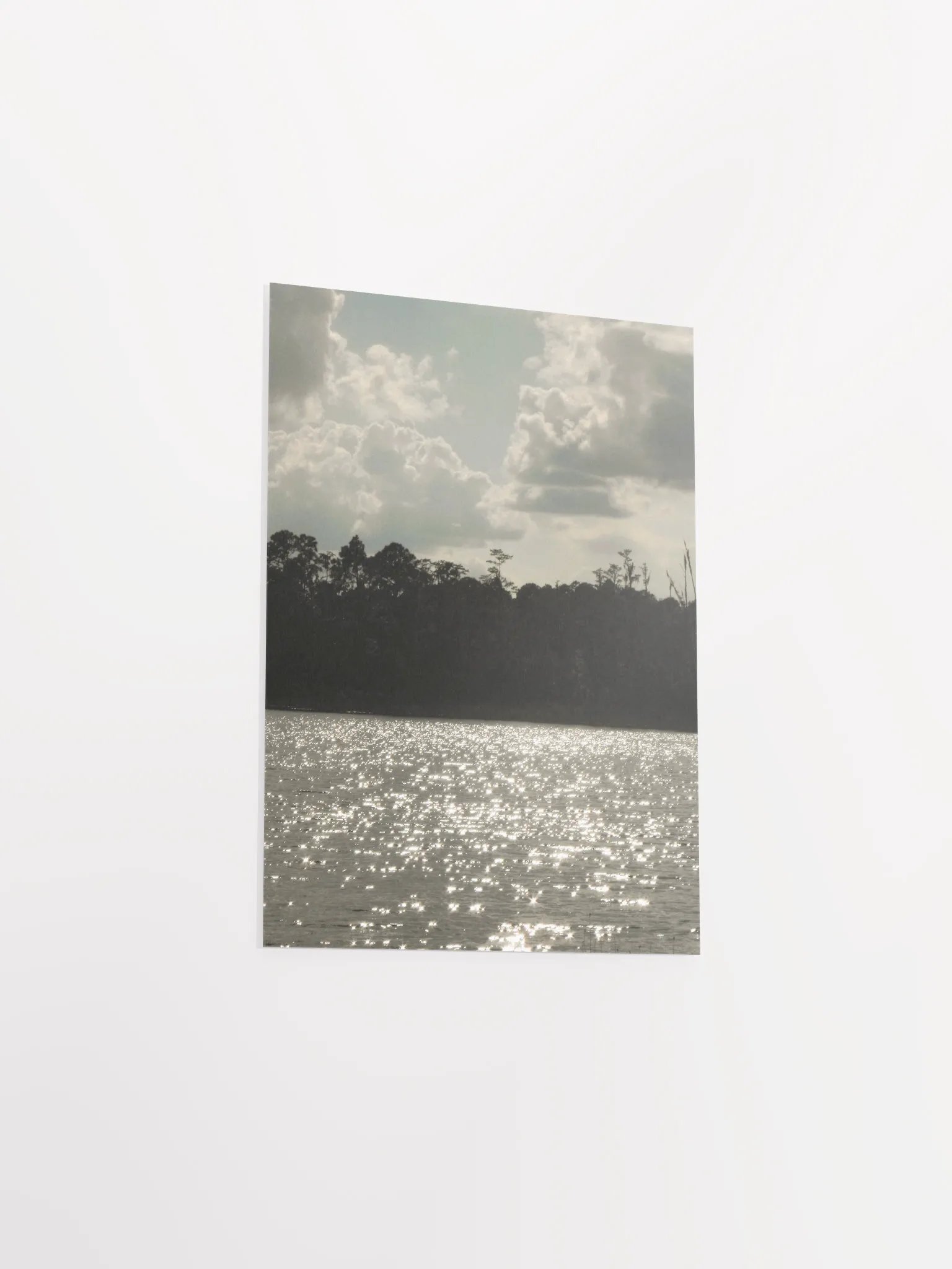Florida Lake 4 product image (36)