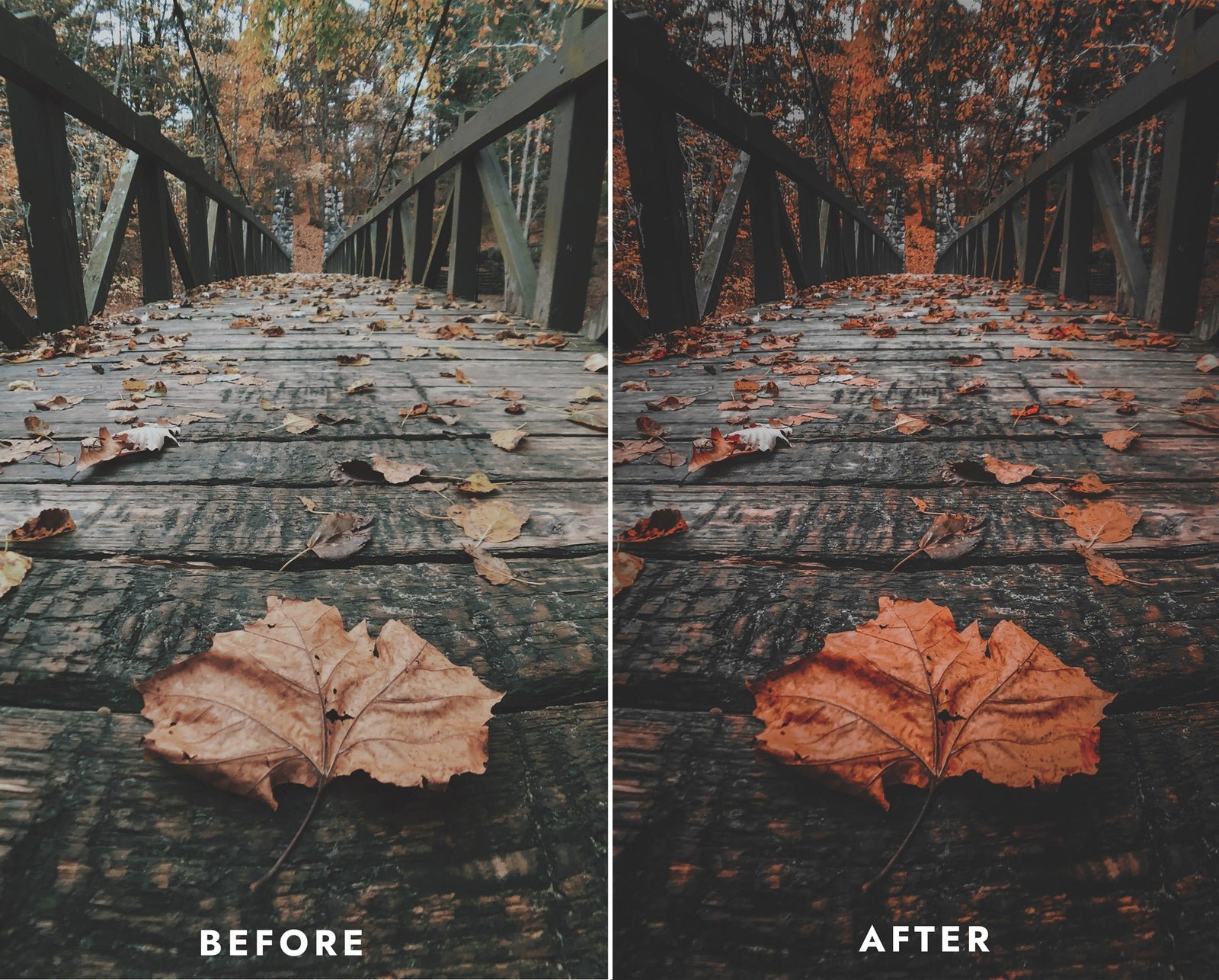 dark & orange product image (3)