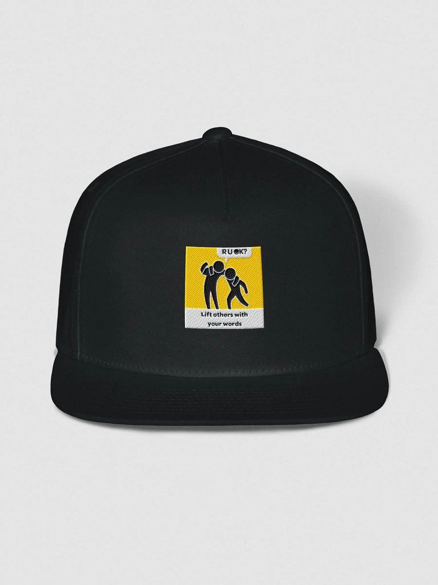The OK Show Snapback product image (3)