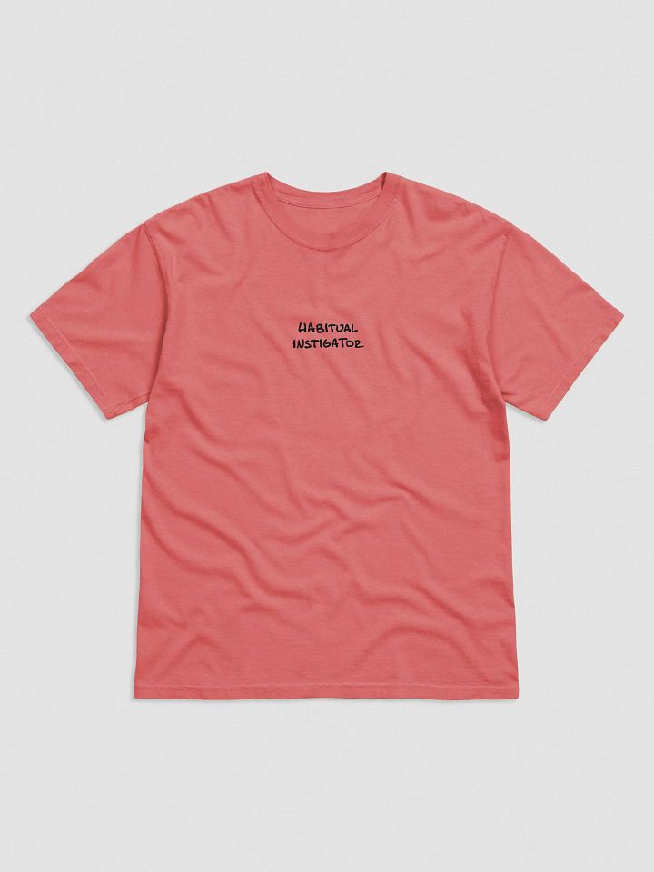 Habitual Instigator embroidered garment-dyed tee product image (1)