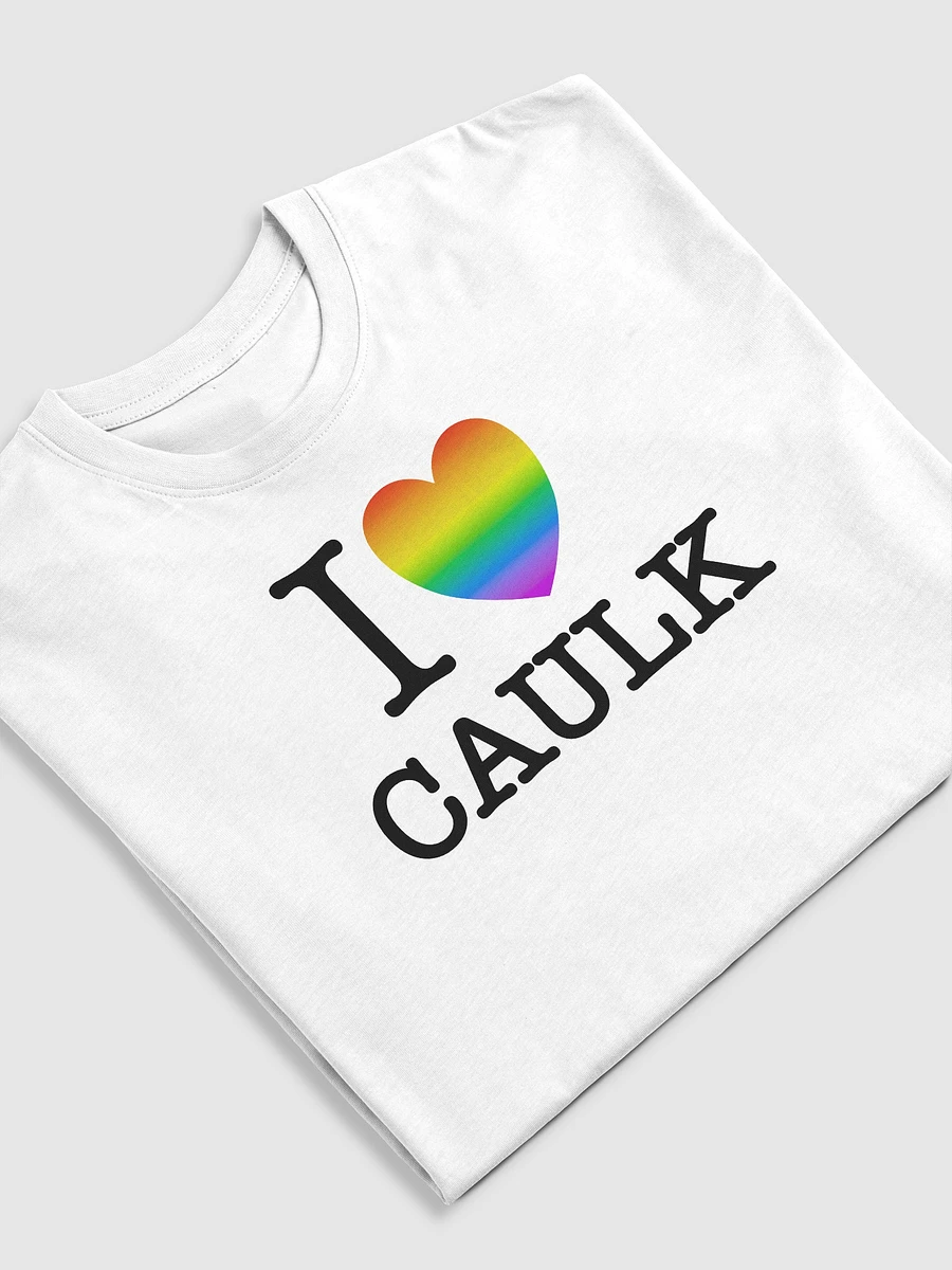 I LOVE CAULK Rainbow / Light Heavyweight Tee product image (3)
