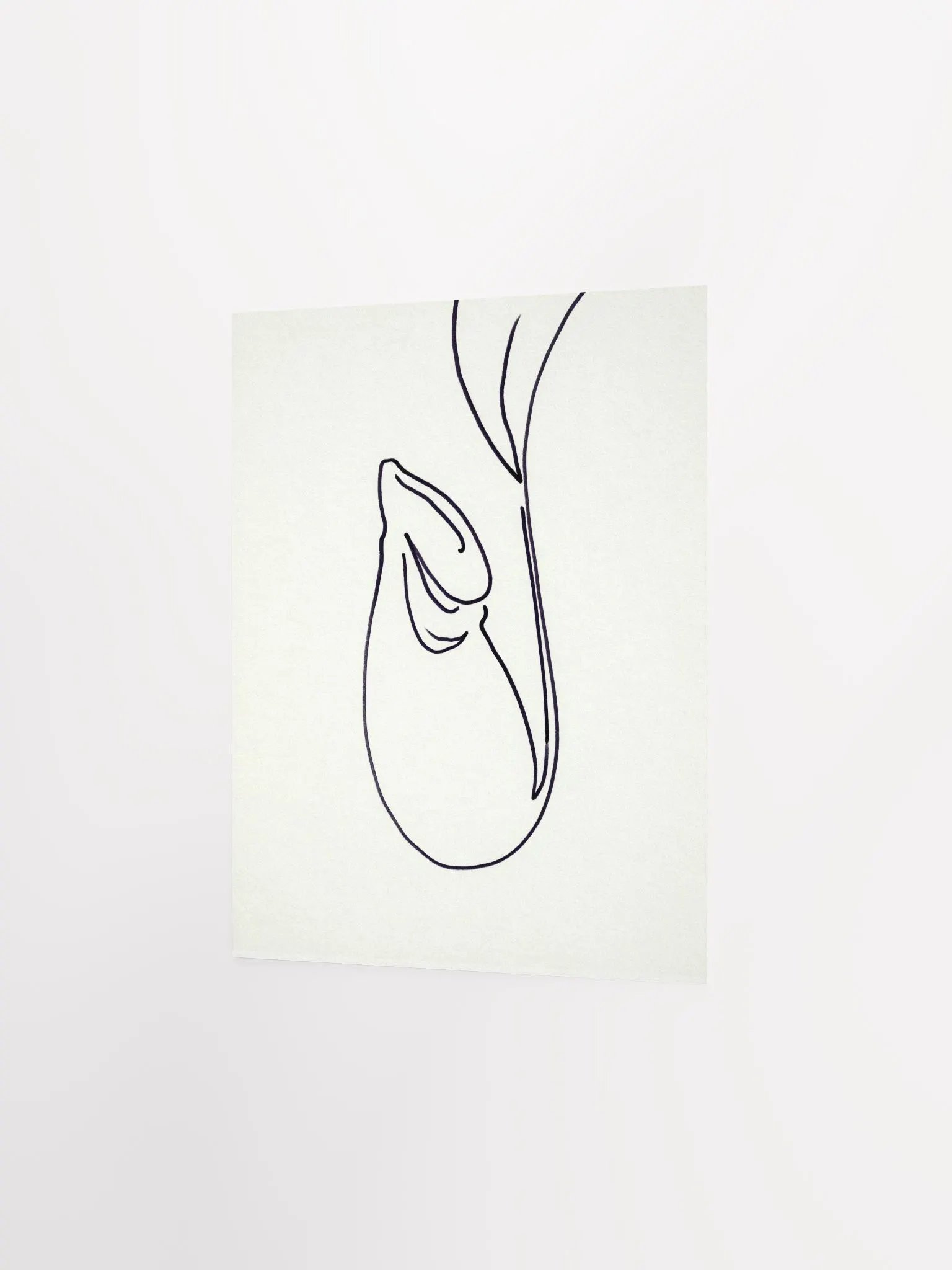 Pitcher no.1 product image (2)