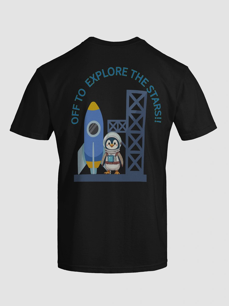 Space Penguin product image (43)