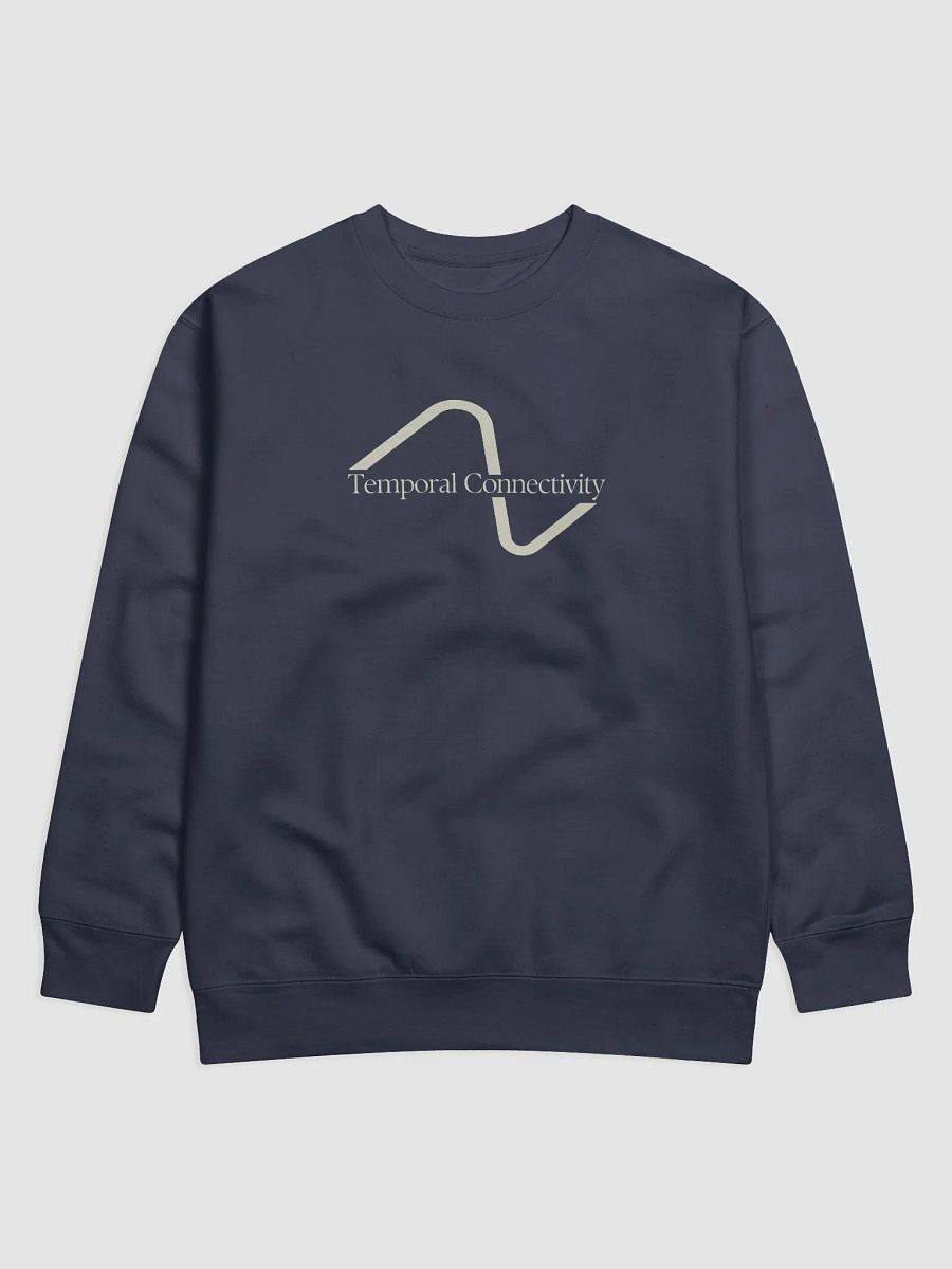 Temporal Connectivity / Premium Sweatshirt product image (1)