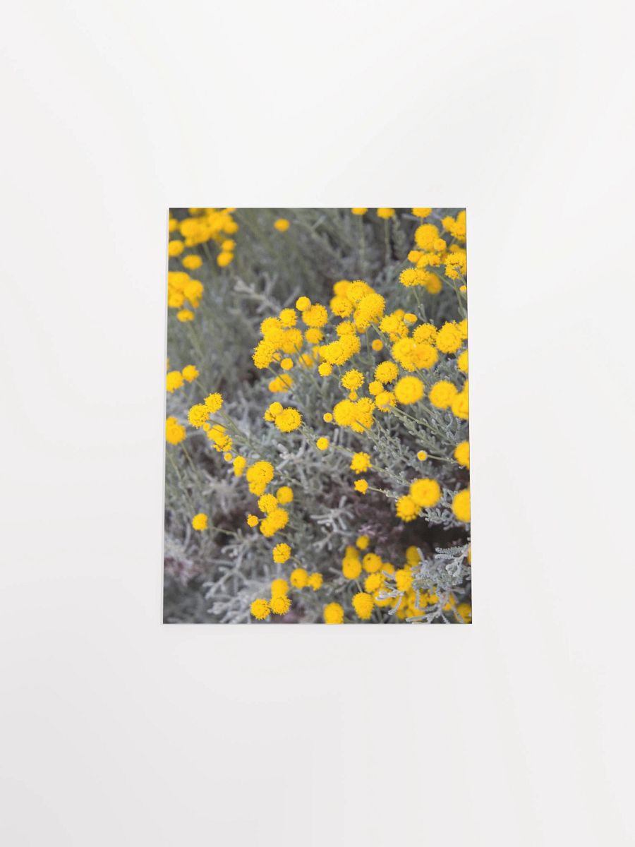 Flores amarillas - Enhanced Matte Paper Poster product image (4)