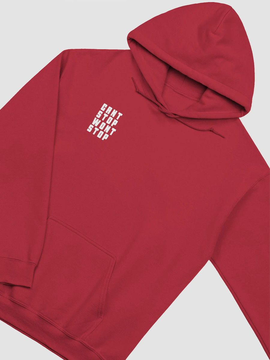 CSWS Stacked Hoodie product image (3)