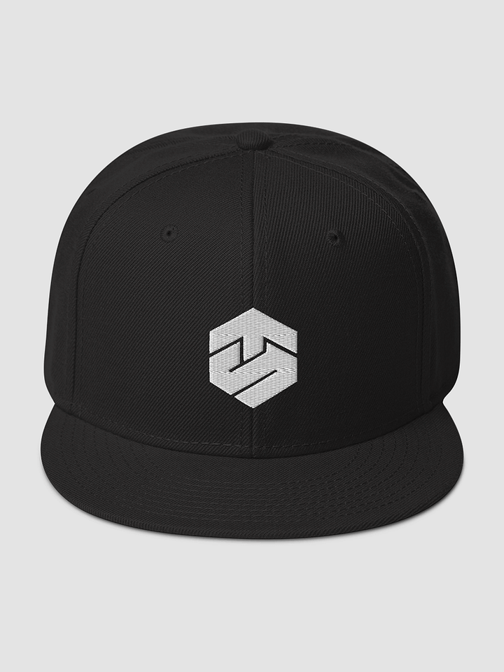 Tech Snapback - Otto Cap product image (1)