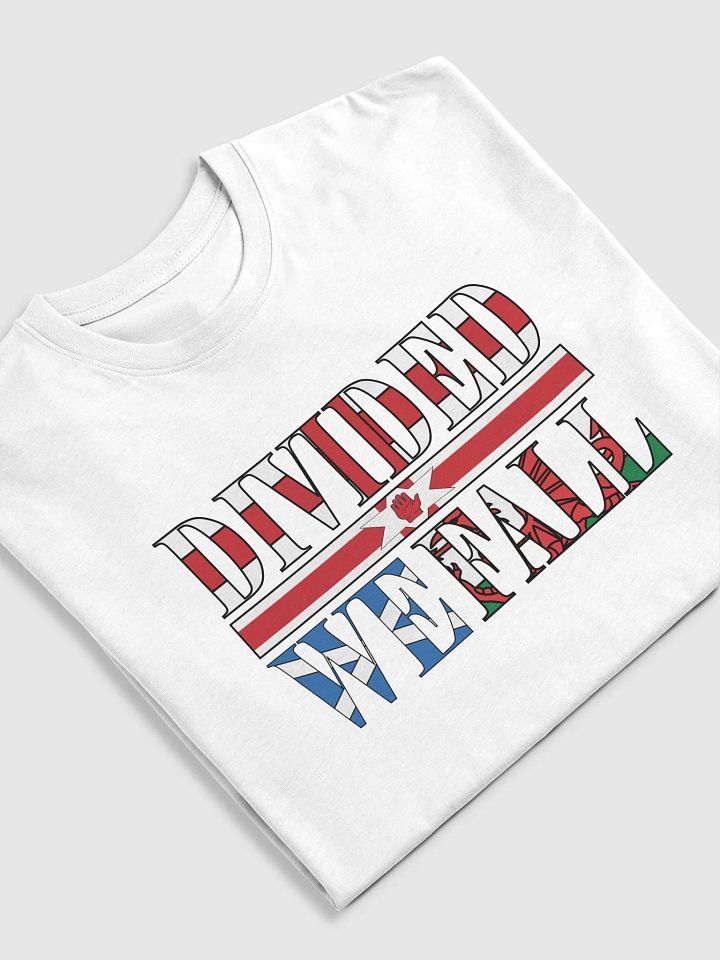 Divided We Fall - UK - Cotton Heritage Men's Premium Heavyweight Tee product image (1)