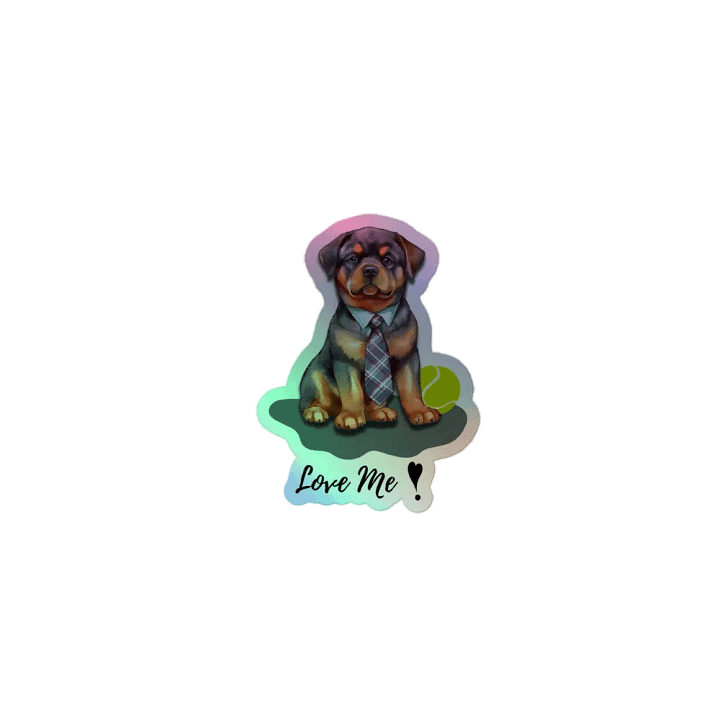 Paws and Play Holographic Sticker Set product image (1)