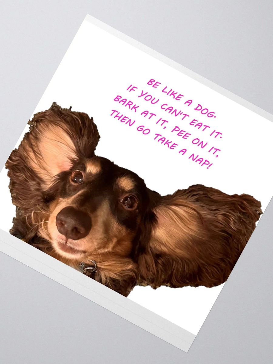 WHITE BE LIKE A DOG product image (5)