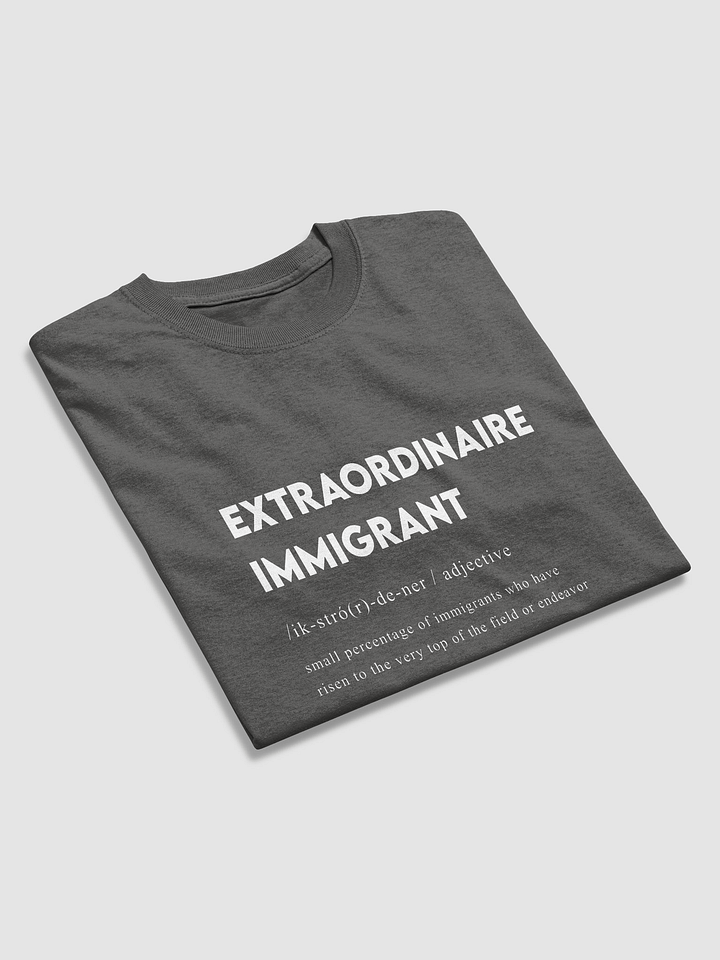 EXTRAORDINAIRE IMMIGRANT TSHIRT CHARCOL product image (2)