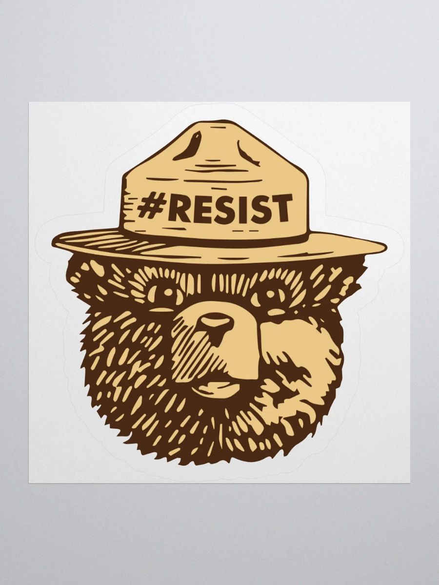 Smokey RESIST BEAR Sticker (Desert) 3 SIZES! Alt National Parks Cut Vinyl Decal product image (1)