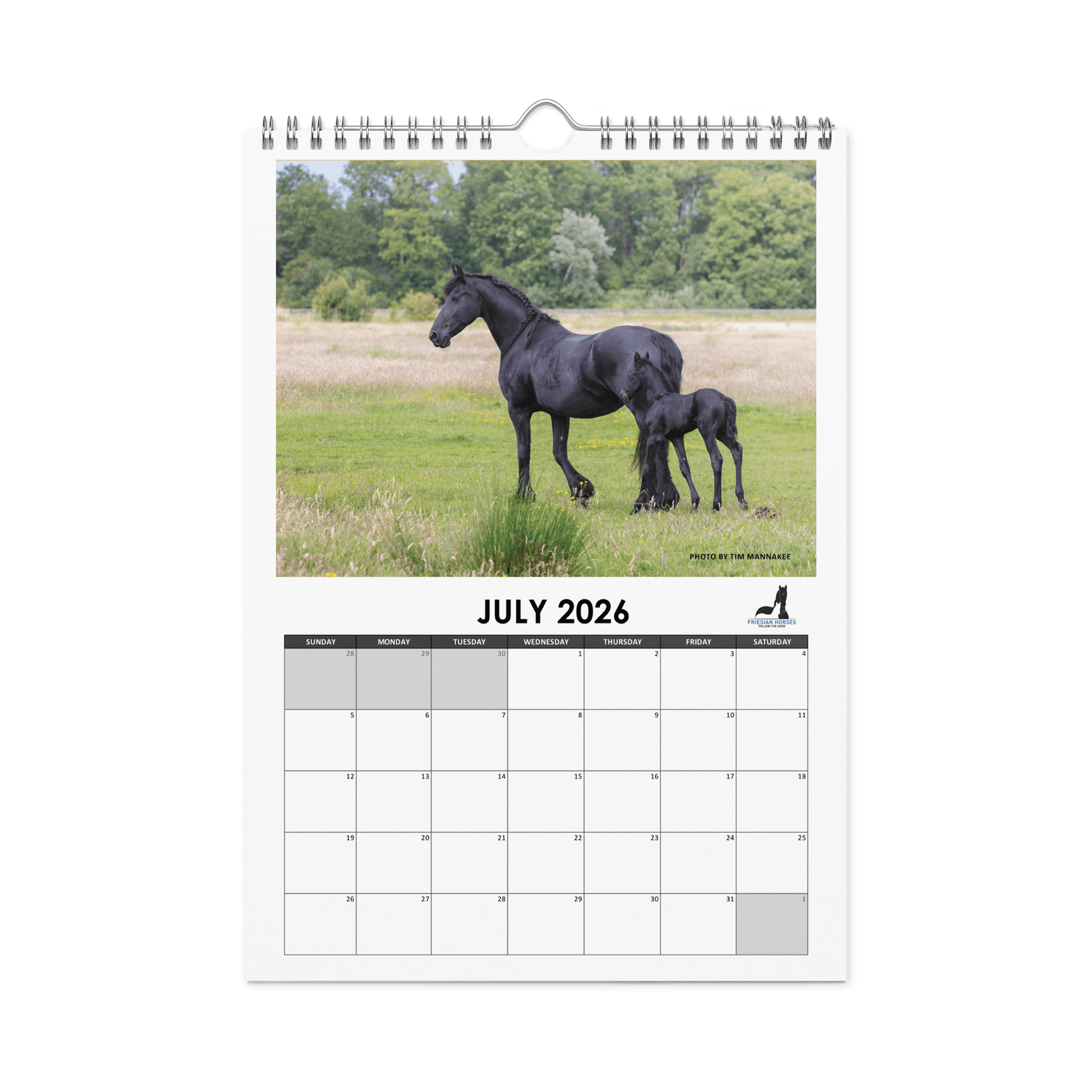 Friesian horses 2026 Wall Calendar product image (7)