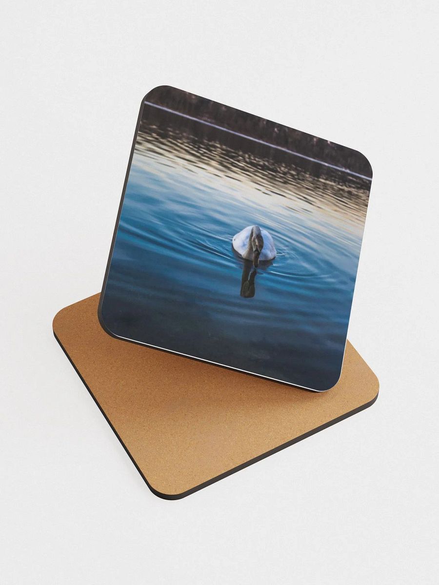 Swan in the lake product image (3)