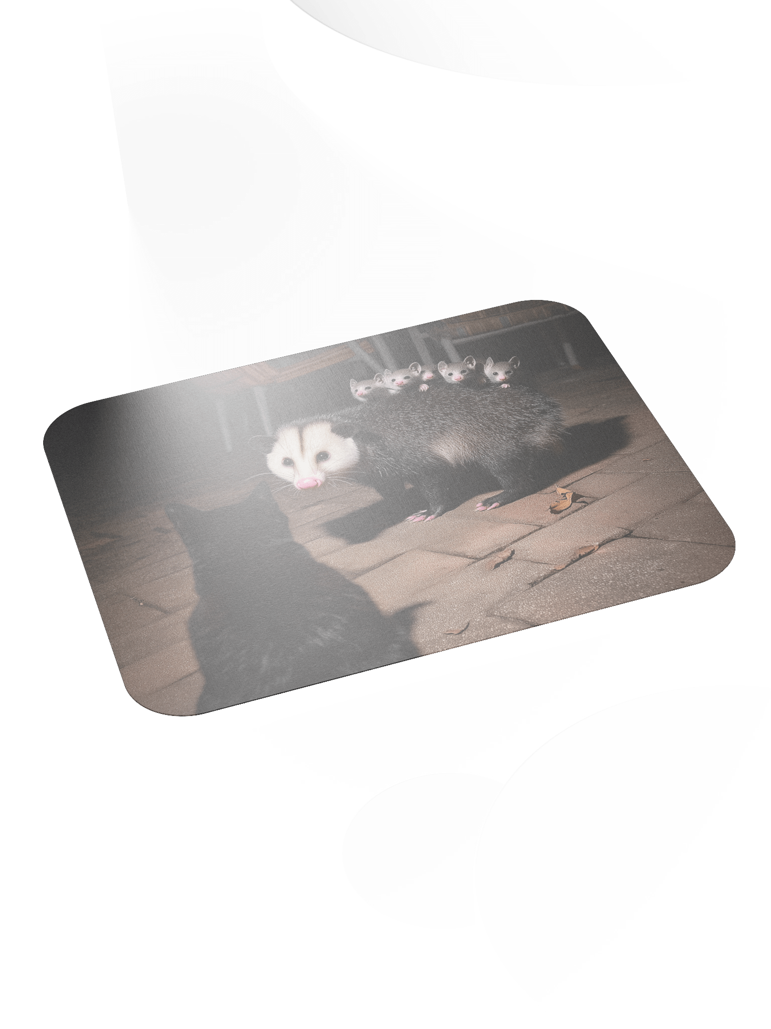 Cat meets opossum family Mouse Pad product image (4)
