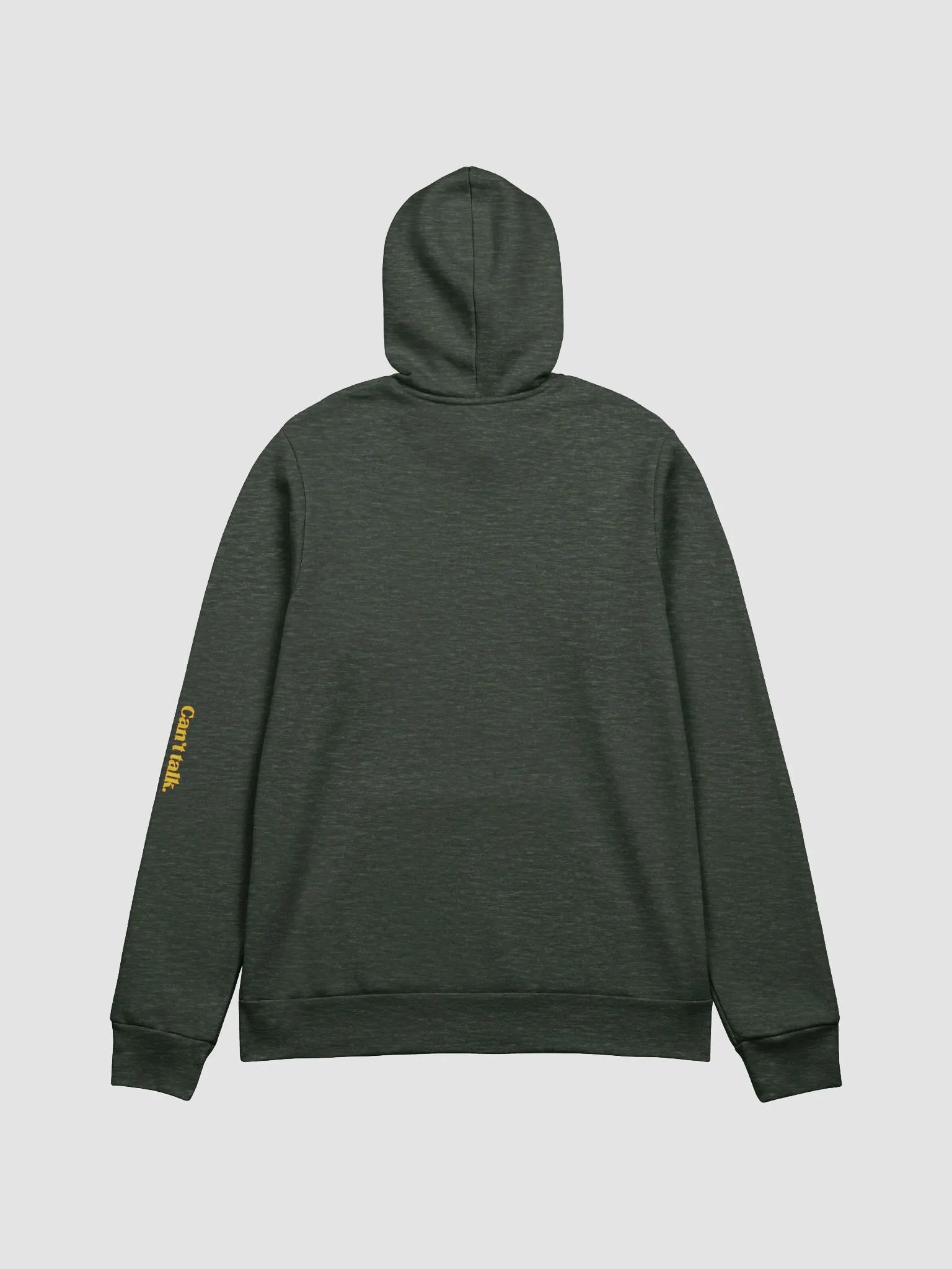 Can't talk, Reading Hoodie product image (4)