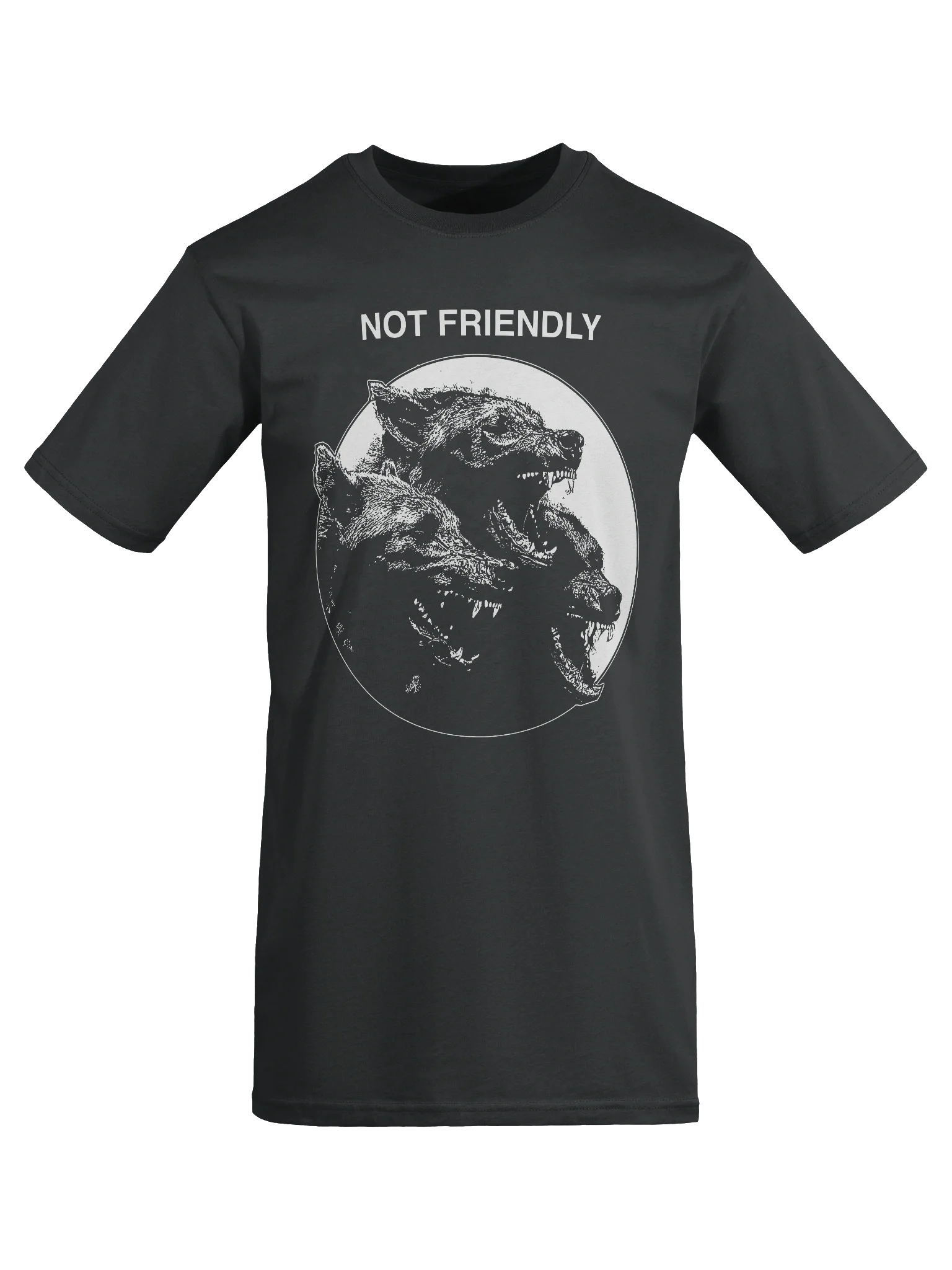 NOT FRIENDLY product image (7)