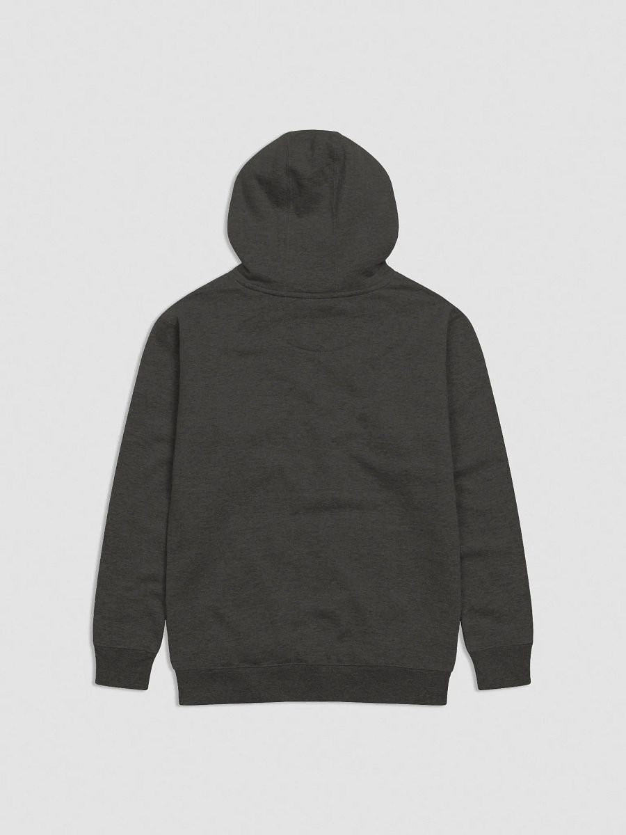 Light Wordmark Hoodie (Embroidered) product image (15)