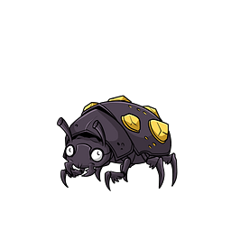 Beetle