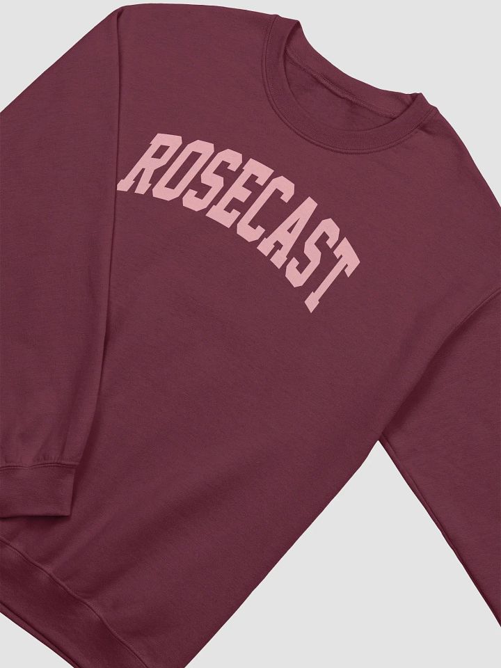 College Block Crewneck Sweatshirt product image (17)