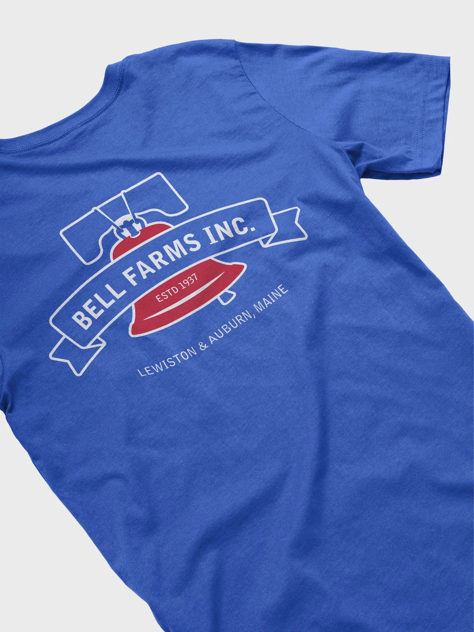 Shane's Blue T-shirt product image (4)