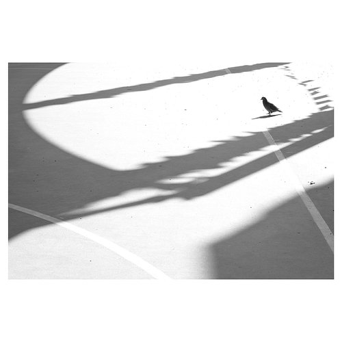 There are some photos I know I took only because my camera was set to black & white, not because I planned to edit them that ...