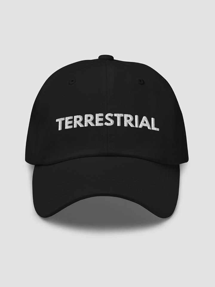 Classic Logo Hat product image (1)
