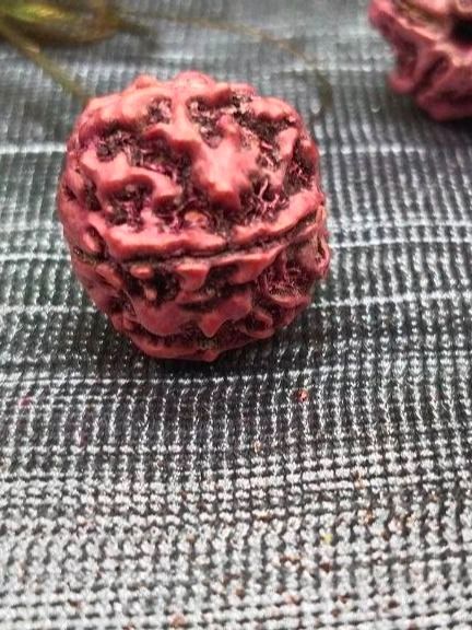 Rudraksh (5 Mukhi), Panchmukhi Rudraksh Set of 3 product image (1)