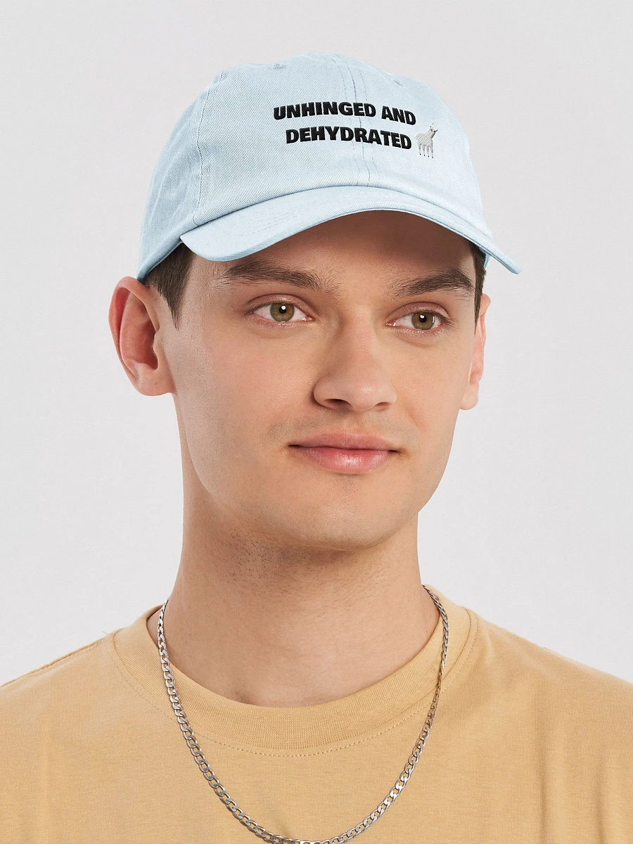 Unhinged & Dehydrated Embroidered Hat product image (18)