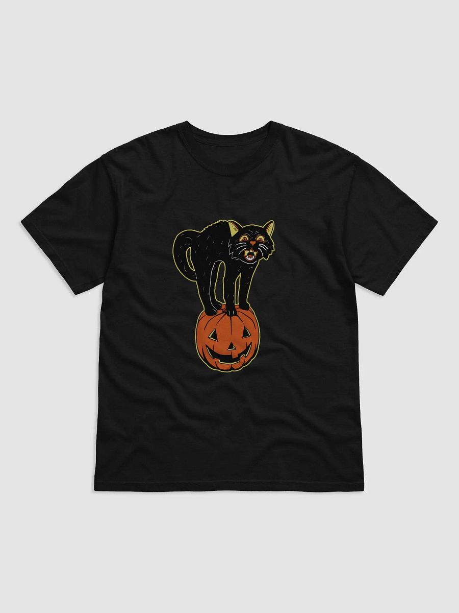 Retro Black Cat and Pumpkin product image (1)