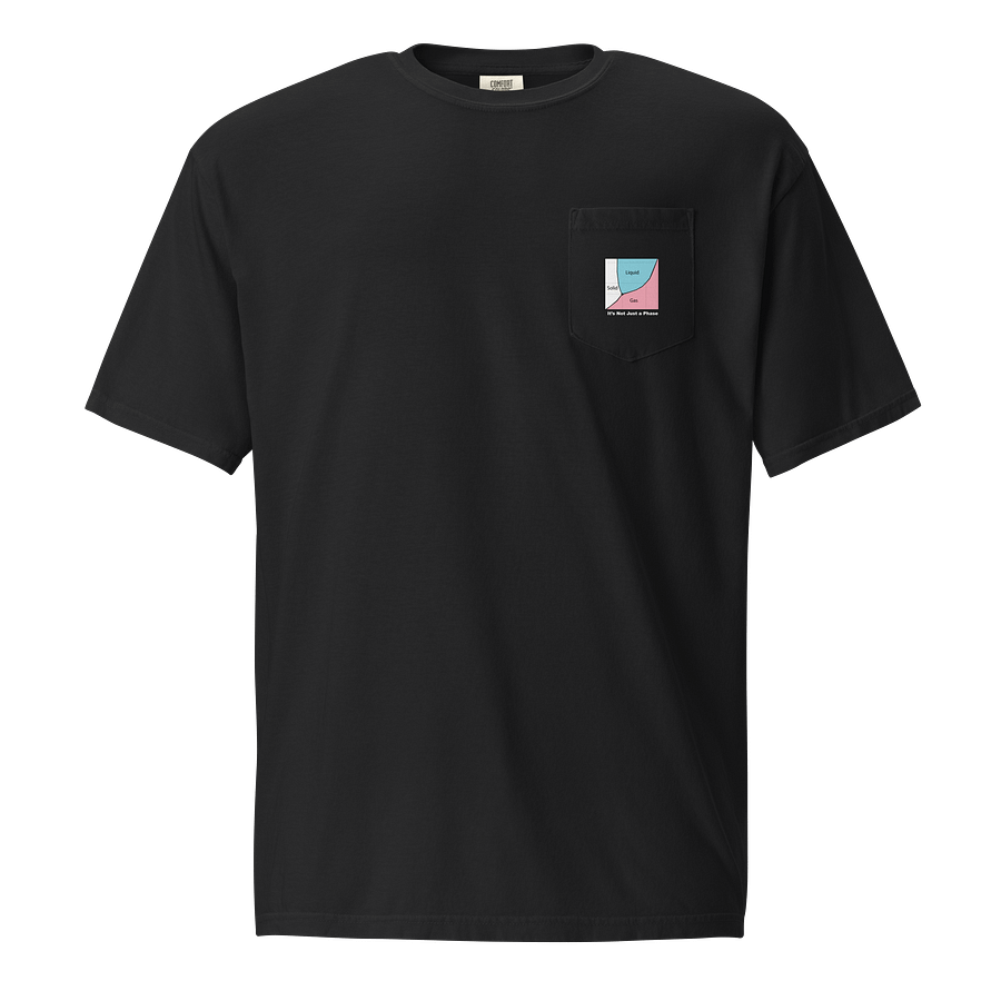 It's Not Just a Phase- Transgender Shirt product image (1)