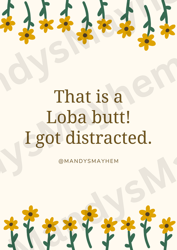25 Motivational Posters - 1 product image (2)